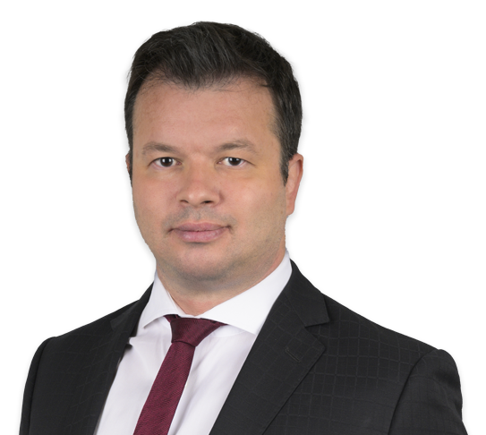 Vlad Skibunov Partner